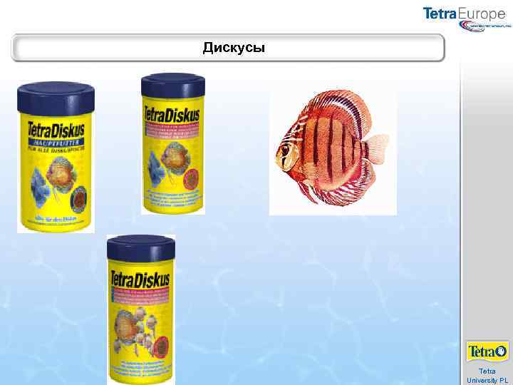 Дискусы Tetra University PL 