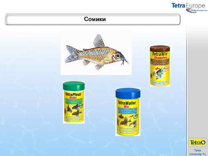 Сомики Tetra University PL 