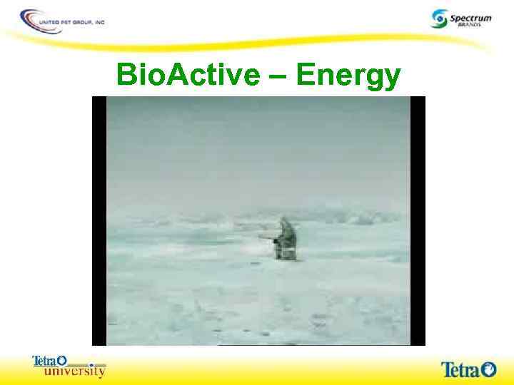 Bio. Active – Energy 