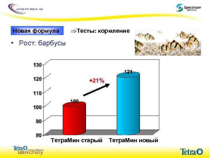Новая формула ÞТесты: кормление • Рост: барбусы +21% Тетра. Мин старый Тетра. Мин новый