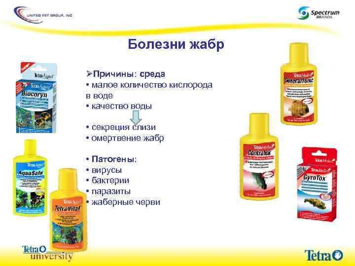 Болезни жабр ØПричины: среда • малое количество кислорода в воде • качество воды •