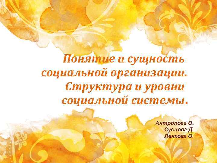 Понятие и сущность социальной организации. Структура и уровни социальной системы. Антропова О. Суслова Д.