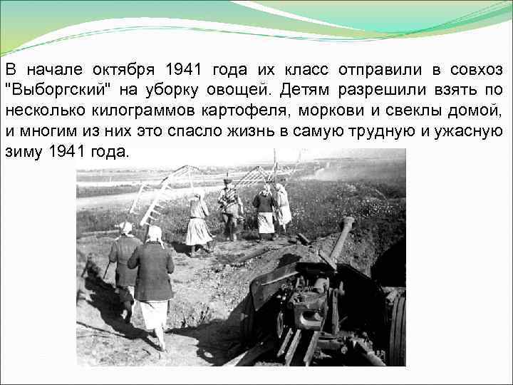 В начале октября 1941 года их класс отправили в совхоз 