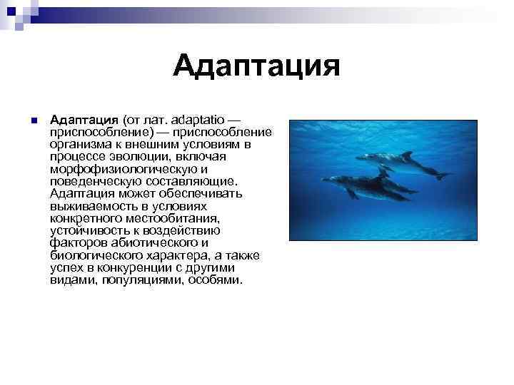 Адаптация n Адаптация (от лат. adaptatio — приспособление) — приспособление организма к внешним условиям