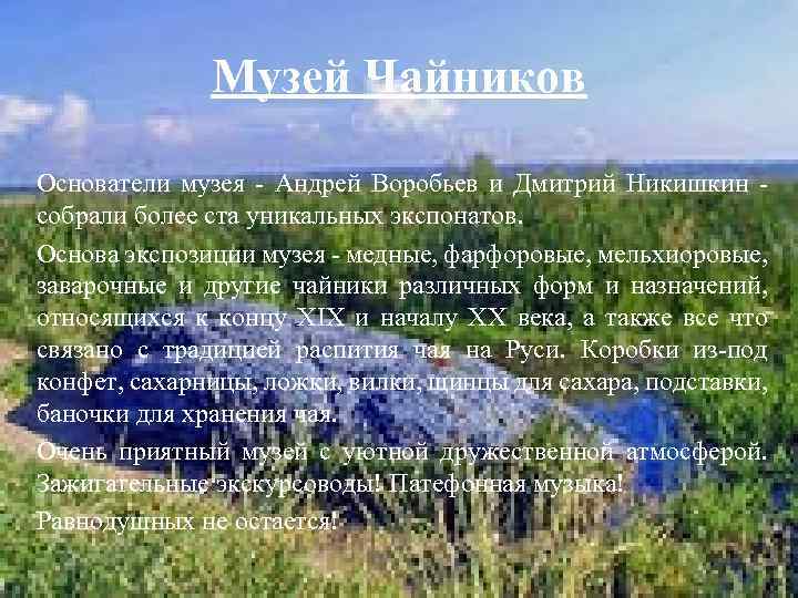 Музей Чайников Основатели музея - Андрей Воробьев и Дмитрий Никишкин - собрали более ста