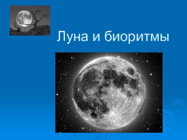 Луна ближайший спутник. Биоритмы Луна. Фазы Луны и биоритмы человека. Луна для презентации. Лунные биоритмы картинки.