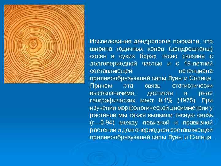 Исследования дендрологов показали, что ширина годичных колец (дендрошкалы) сосен в сухих борах тесно связана