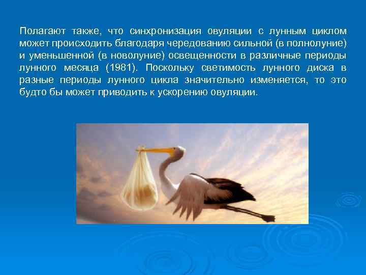 Полагают также, что синхронизация овуляции с лунным циклом может происходить благодаря чередованию сильной (в