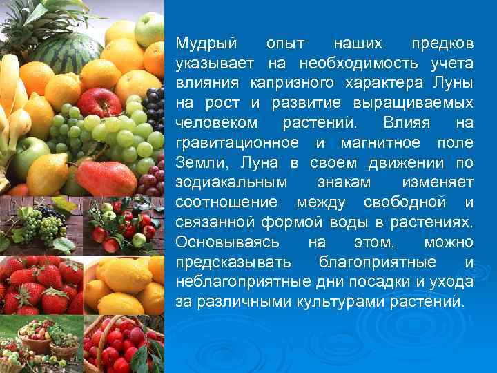 Мудрый опыт наших предков указывает на необходимость учета влияния капризного характера Луны на рост