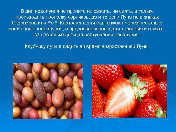 В дни новолуния не принято ни сажать, ни сеять, а только производить прополку сорняков,