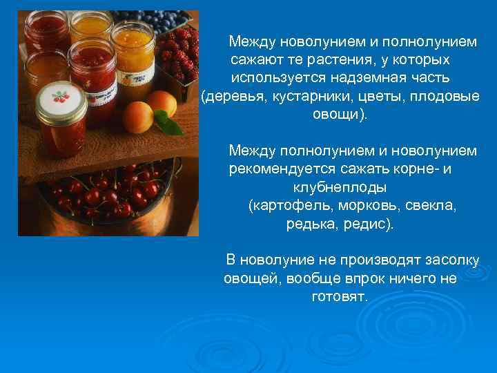 Между новолунием и полнолунием сажают те растения, у которых используется надземная часть (деревья, кустарники,