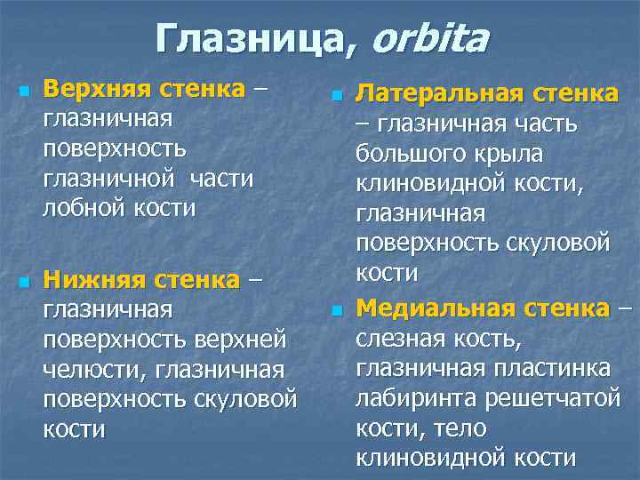 Глазницa, orbita n n Верхняя стенка – глазничная поверхность глазничной части лобной кости Нижняя