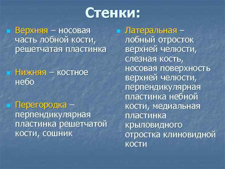 Стенки: n n n Верхняя – носовая часть лобной кости, решетчатая пластинка Нижняя –