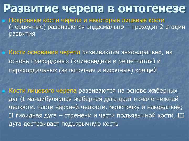 Развитие черепа в онтогенезе n n n Покровные кости черепа и некоторые лицевые кости