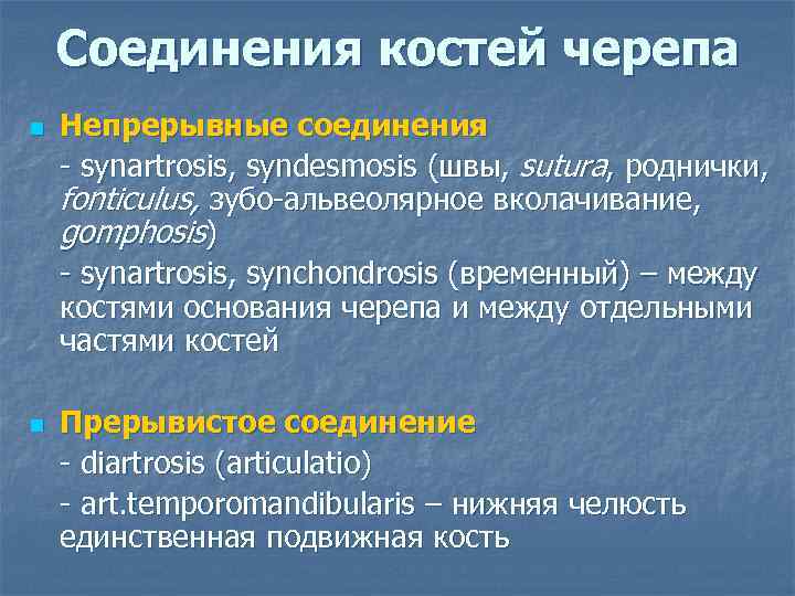 Соединения костей черепа n n Непрерывные соединения - synartrosis, syndesmosis (швы, sutura, роднички, fonticulus,