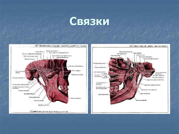 Связки 