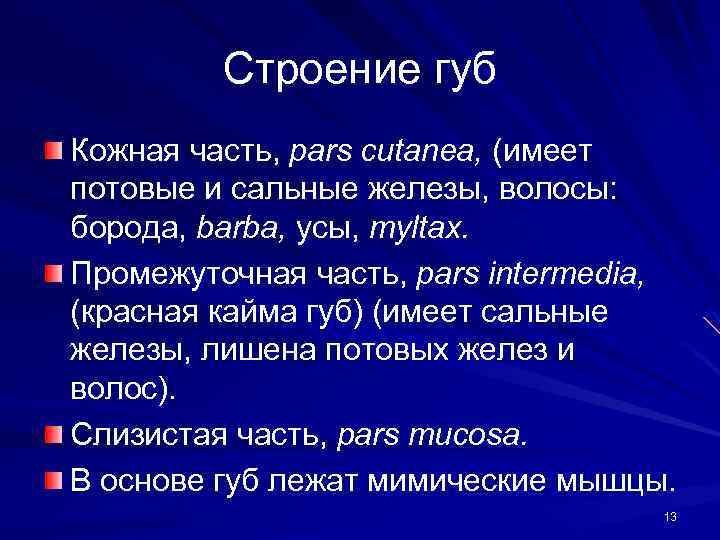 Строение губ Кожная часть, pars cutanea, (имеет потовые и сальные железы, волосы: борода, barba,