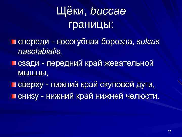 Щёки, buccae границы: спереди - носогубная борозда, sulcus nasolabialis, сзади - передний край жевательной