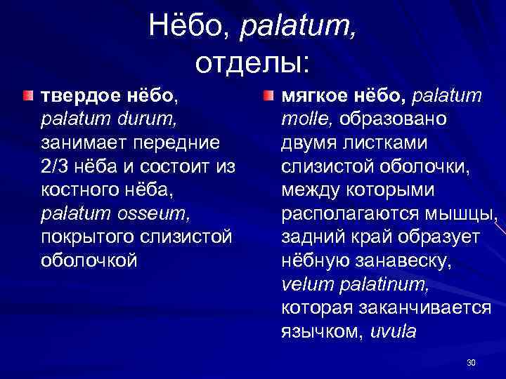 Нёбо, palatum, отделы: твердое нёбо, palatum durum, занимает передние 2/3 нёба и состоит из