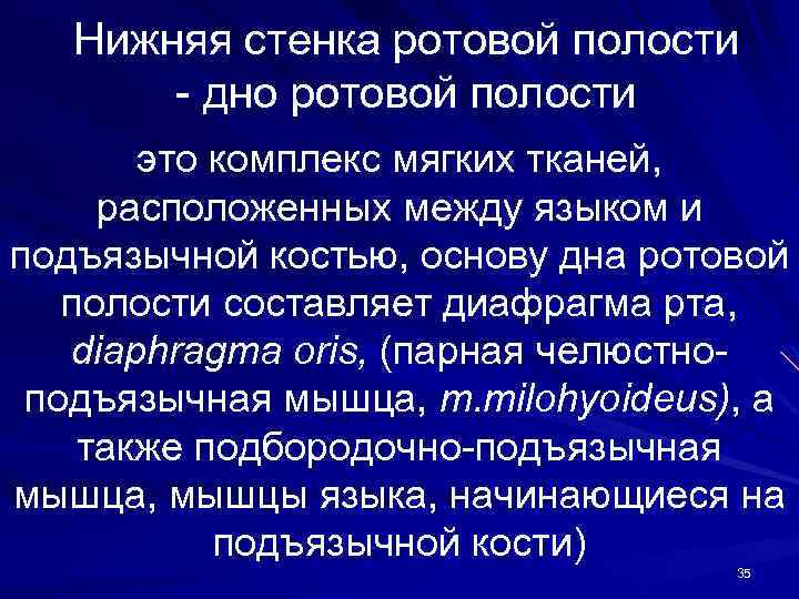 Нижняя стенка ротовой полости - дно ротовой полости это комплекс мягких тканей, расположенных между