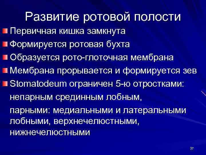 Развитие лица. Развитие ротовой полости. Формирование ротовой полости. Развитие ротовой полости анатомия. Источники развития полости рта.