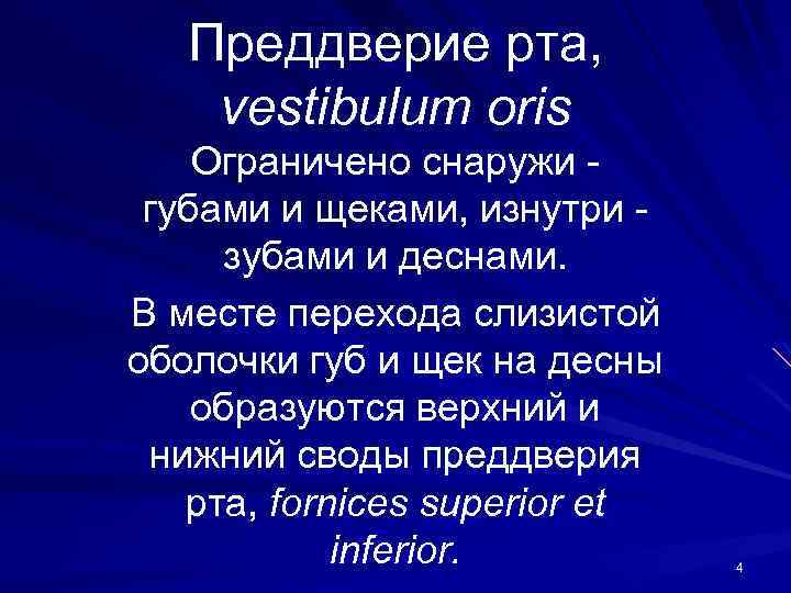 Преддверие рта, vestibulum oris Ограничено снаружи губами и щеками, изнутри зубами и деснами. В