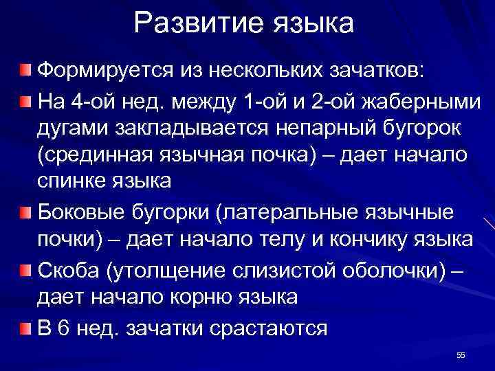 Развитие языка Формируется из нескольких зачатков: На 4 -ой нед. между 1 -ой и