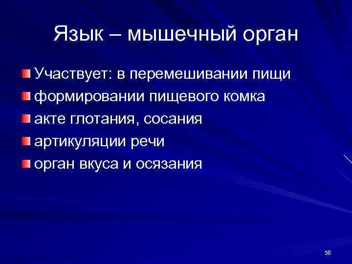 Язык – мышечный орган Участвует: в перемешивании пищи формировании пищевого комка акте глотания, сосания