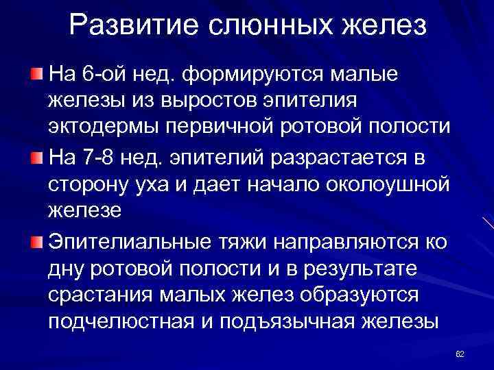 Развитие слюнных желез На 6 -ой нед. формируются малые железы из выростов эпителия эктодермы