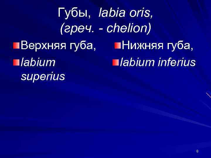 Губы, labia oris, (греч. - chelion) Верхняя губа, labium superius Нижняя губа, labium inferius