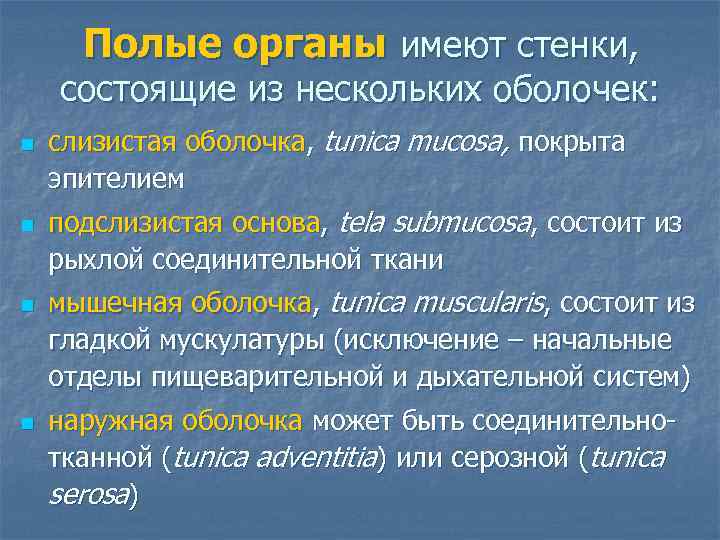 Полые органы имеют стенки, состоящие из нескольких оболочек: n n слизистая оболочка, tunica mucosa,