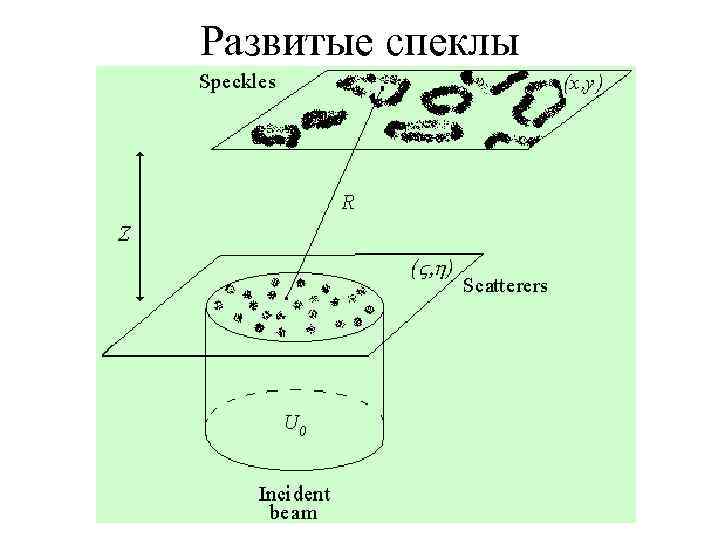 Развитые спеклы 