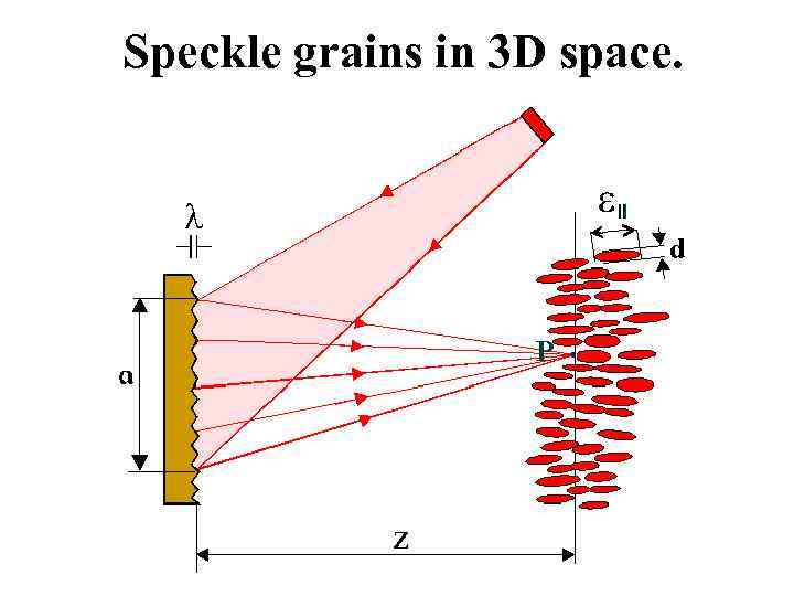 Speckle grains in 3 D space. 