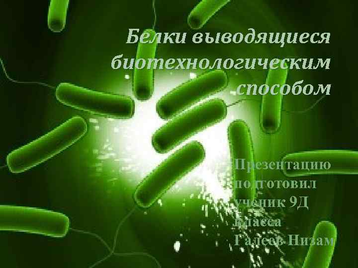 Белки выводящиеся биотехнологическим способом Презентацию подготовил ученик 9 Д класса Галеев Низам 