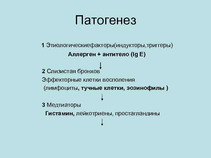 Патогенез 1 Этиологическиефакторы(индукторы, триггеры) Аллерген + антитело (Ig E) 2 Слизистая бронхов Эффекторные клетки