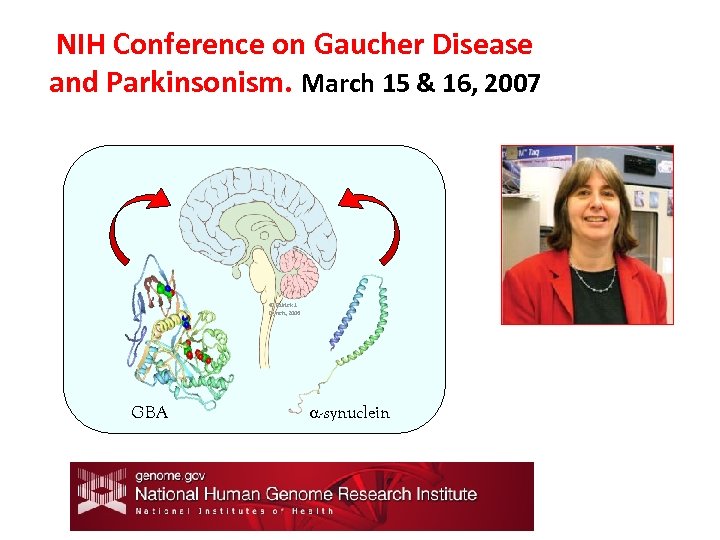 NIH Conference on Gaucher Disease and Parkinsonism. March 15 & 16, 2007 © Patrick