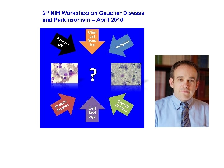 3 rd NIH Workshop on Gaucher Disease and Parkinsonism – April 2010 Pa th
