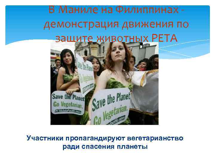 В Маниле на Филиппинах демонстрация движения по защите животных PETA Участники пропагандируют вегетарианство ради