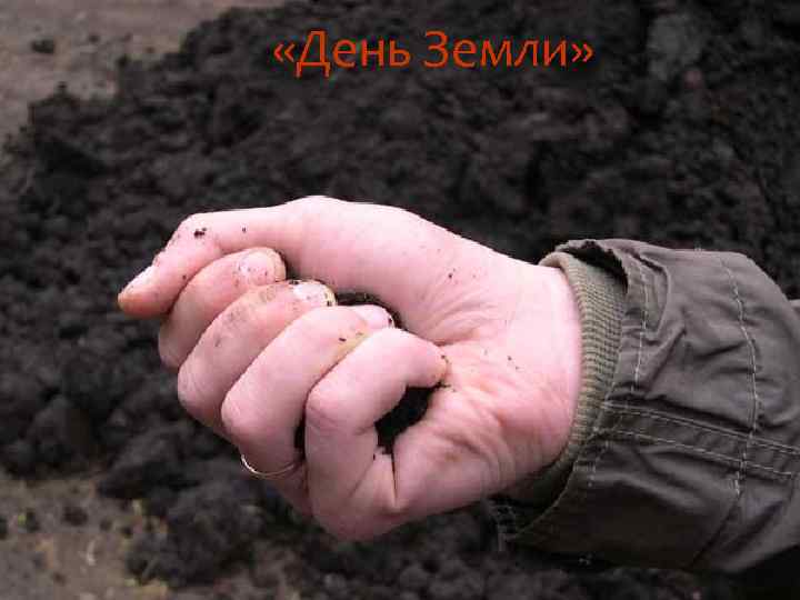  «День Земли» 