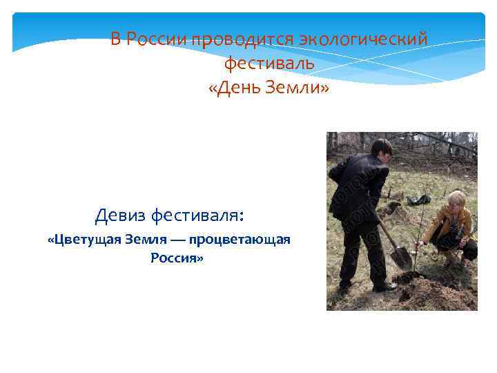В России проводится экологический фестиваль «День Земли» Девиз фестиваля: «Цветущая Земля — процветающая Россия»