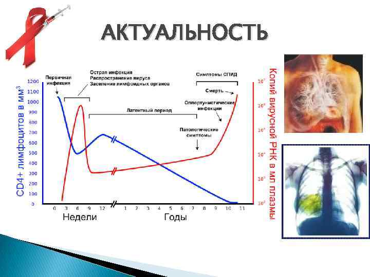 АКТУАЛЬНОСТЬ 