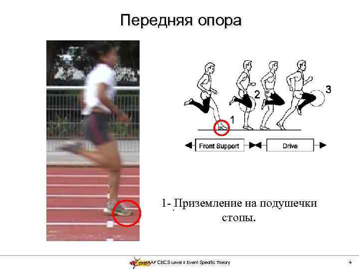 Передняя опора 1 -. Приземление на подушечки стопы. IAAF CECS Level II Event Specific