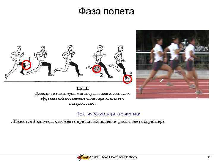 Фаза полета ЦЕЛИ Довести до максимума мах вперед и подготовиться к эффективной постановке стопы