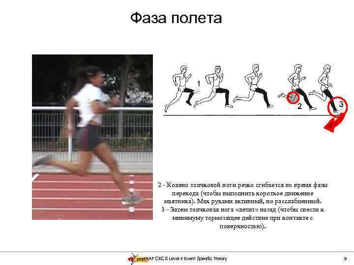 Фаза полета 2 - Колено толчковой ноги резко сгибается во время фазы перехода (чтобы
