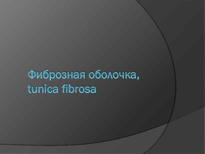 Фиброзная оболочка, tunica fibrosa 