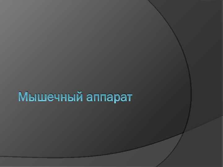 Мышечный аппарат 