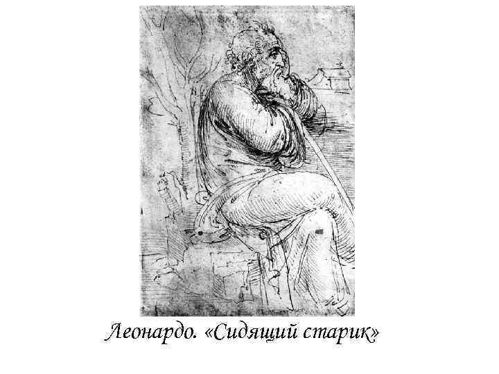 Леонардо. «Сидящий старик» 