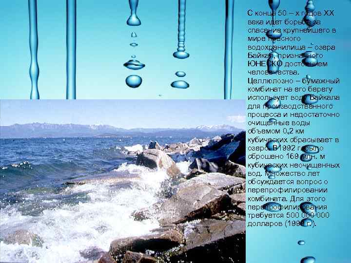  С конца 50 – х годов XX века идет борьба за спасение крупнейшего