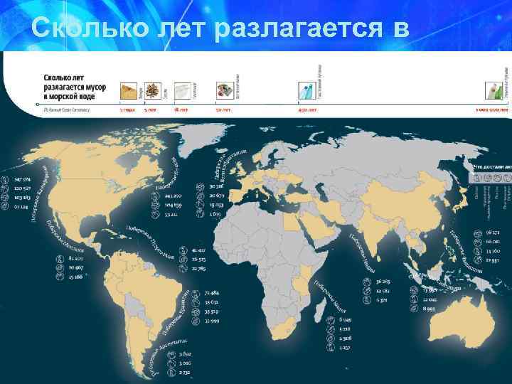 Сколько лет разлагается в мировом океане 