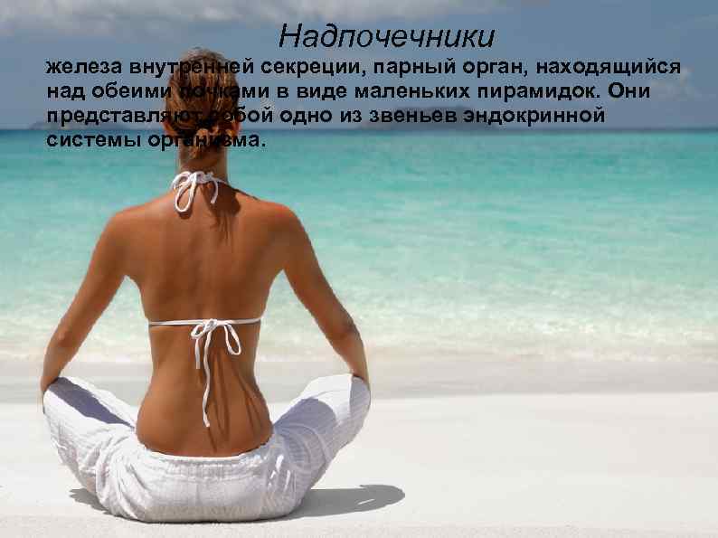 Надпочечники парные железы внутренней секреции, расположенные в железа внутренней секреции, парный орган, находящийся забрюшинном